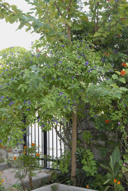 'Αγριοι Λιμένες Íria Exterior foto