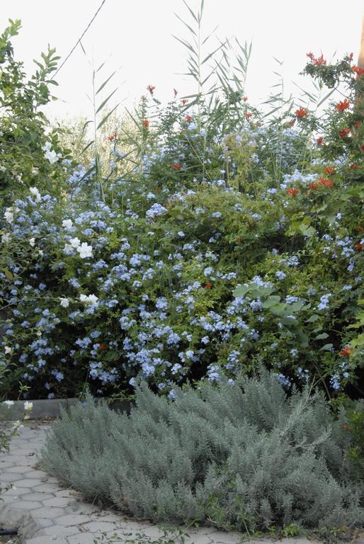 'Αγριοι Λιμένες Íria Exterior foto